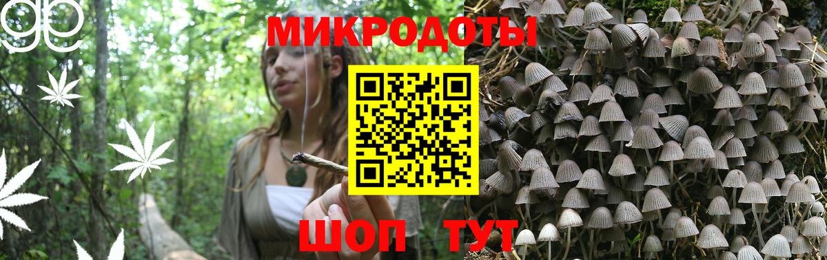 Алексеевка  Галлюциногенные грибы Psilocybine cubensis  Вход с VPN 