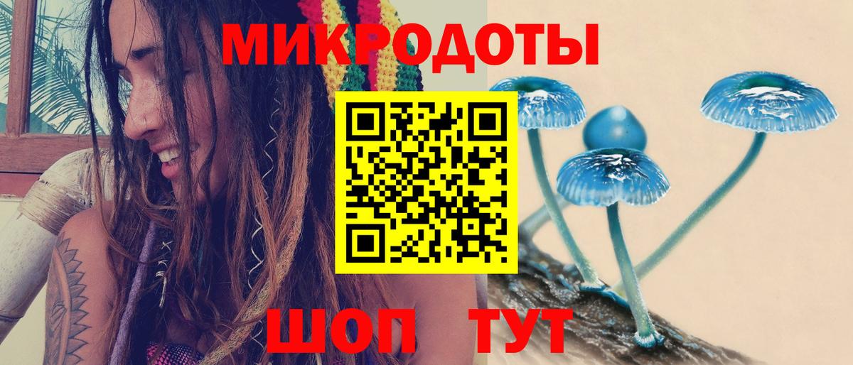 Галлюциногенные грибы ЛСД Алексеевка